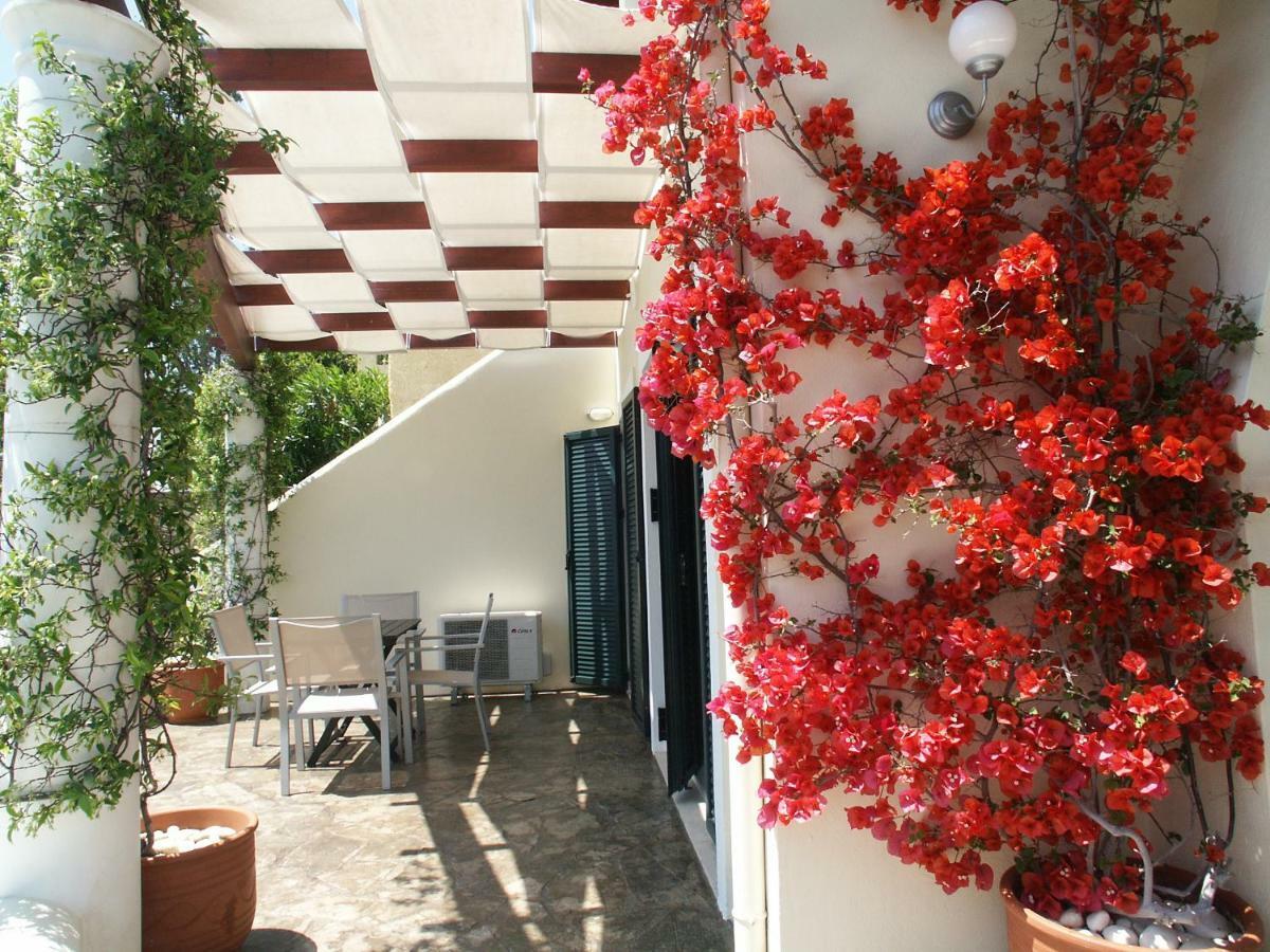 Elysium Apartments Corfu ปาเลโอกัสไตรซา ภายนอก รูปภาพ